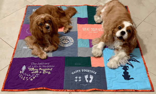 Dogs on a Too Cool T-shirt Quilt